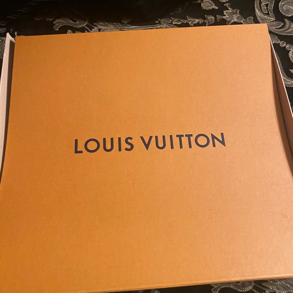 Louis Vuitton  Odeon Monogram Canvas Crossbody Bag - Picture 15 of 16